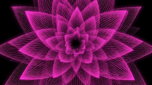 Pink glowing wireframe lotus flower on black background