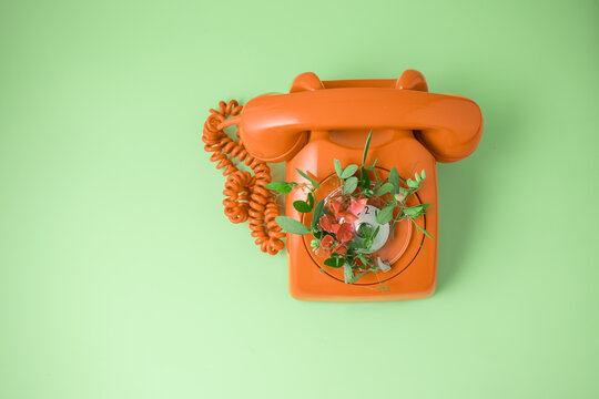 Spring announcement concept with retro orange phone and flowers.