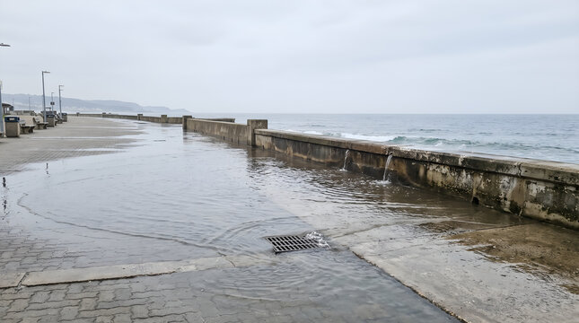 High-tide flooding across a coastal promenade highlights vulnerable public infrastructure and sea level rise, suitable for municipal planning, climate adaptation, and coastal engineering campaigns.
