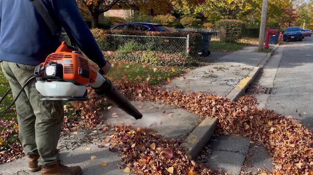 Leaf Blower Piling Autumn Leaves at Curbside