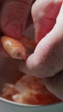 Hand Peeling Fresh Cooked Shrimp Close-Up