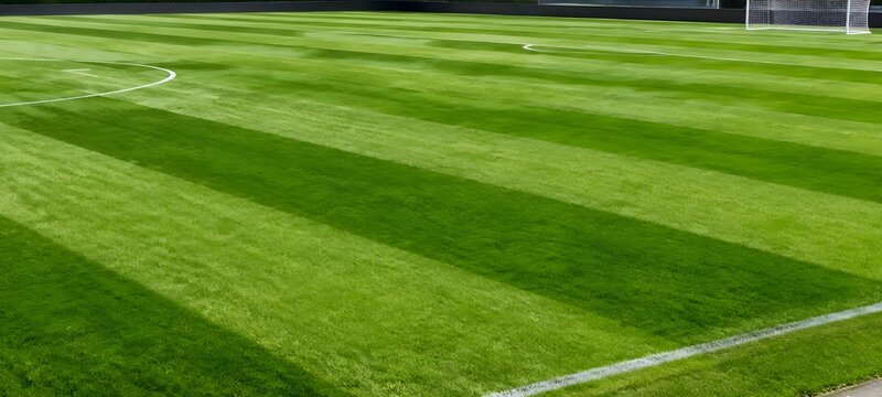 Parallel dark and pale green mowing stripes spanning an elite professional sports playing pitch