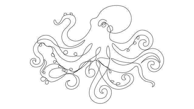 Hand-drawn continuous line vector illustration of an octopus with detailed swirling tentacles on white