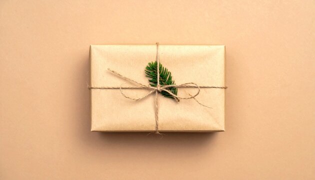Rustic Kraft Paper Christmas Gift Box with Fir Branch
