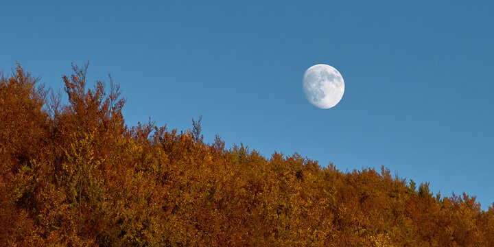 Autunno e Foliage al Tramonto nel Parco Nazionale della Maiella - Pretoro (CH)