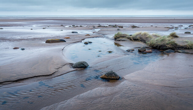 Exposed Coastal Tidal Flat with Shallow Water Channels at Low Tide