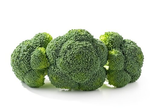 Fresh green broccoli florets isolated on white background healthy vegetable