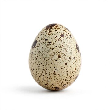 quail egg isolated on white