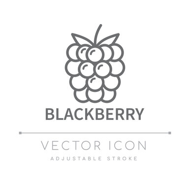 Blackberry Line Icon