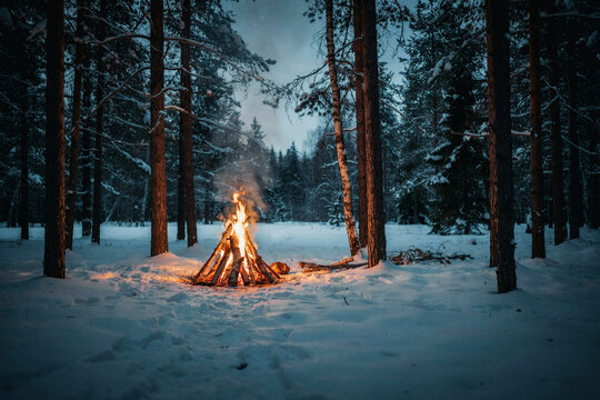Glowing campfire in a dark snowy forest with tall pine trees and soft light reflecting on the white snow during a cold winter evening isolated on a transparent background