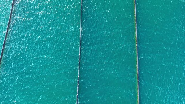 Rope lines used in a mussel farm stretch across the sea surface, with the farm viewed from above during daylight.
