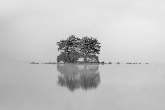 Small tree-covered island reflected in still foggy lake