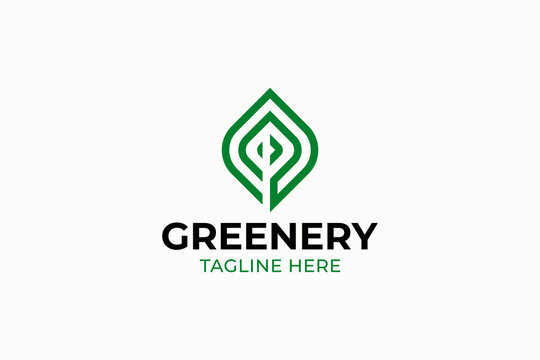 Minimalist Green Leaf Geometric Monoline Logo Template with Linear Plant Icon. Modern Eco Nature Brand Identity Emblem for Organic Farming Agriculture and Environmental Business.