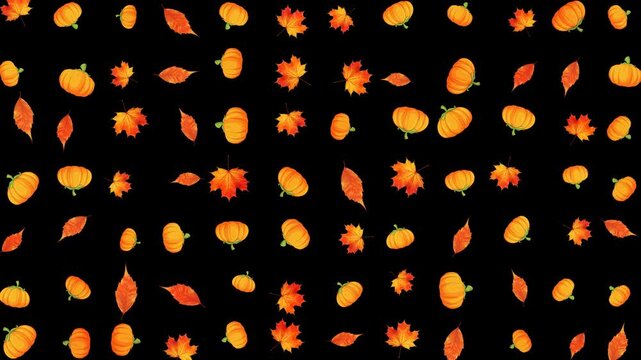 colorful autumn leaves andd pumpkins pattern isolated alpha channel animation,blur leaf thanksgiving and Halloween celebration video stream overlay social media motion design element