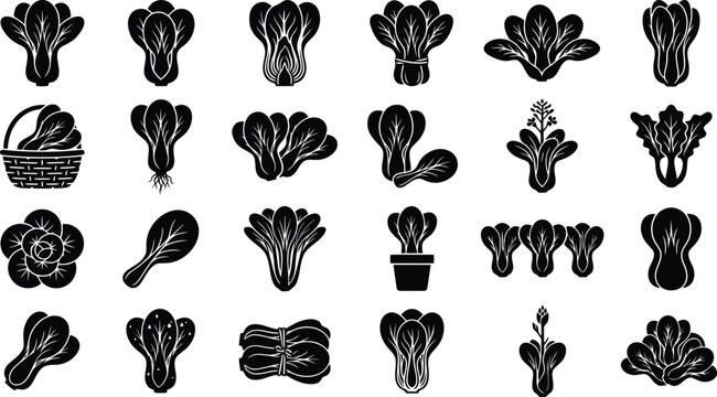 Bok Choy Variety Collection: A graphic compilation showcasing the diverse forms and textures of bok choy and related leafy green vegetables, presented as stylized black icons.
