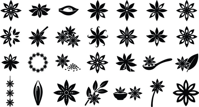 Collection of Star Anise Graphics