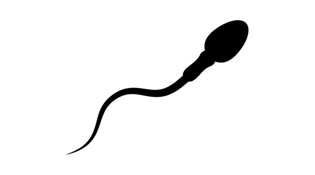 Black silhouette of a single human sperm cell swimming moving forward representing reproduction and biological fertility
