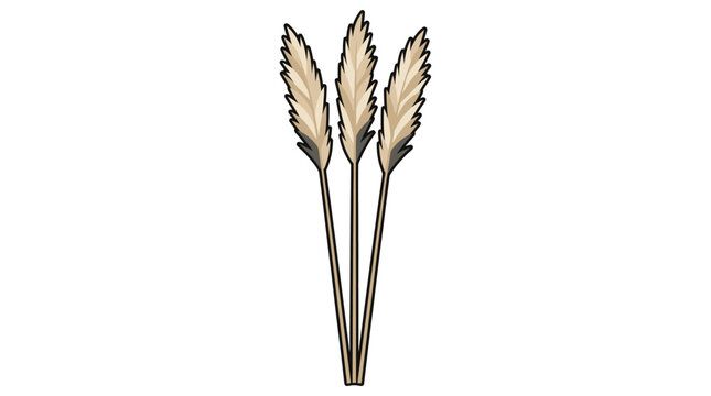 Minimalist Wheat Grain or Pampas Grass Illustration Isolated on White