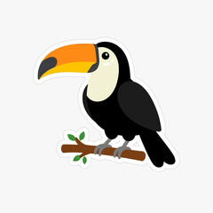Toucan bird sitting on wooden branch with orange beak black feathers vector graphic for jungle animal theme educational projects or tropical wildlife stickers. © Waseem