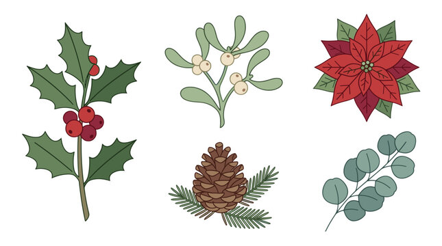 Holiday botanical illustrations with holly, mistletoe, and pinecone  