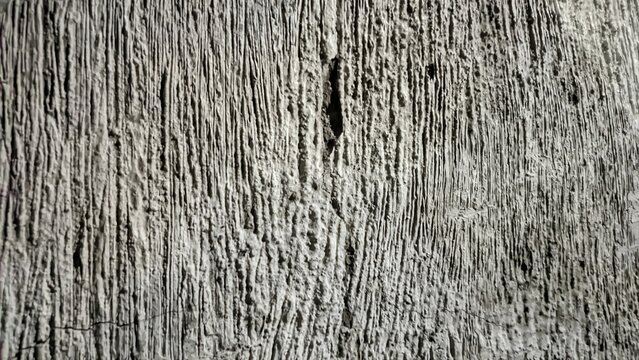 old wood texture