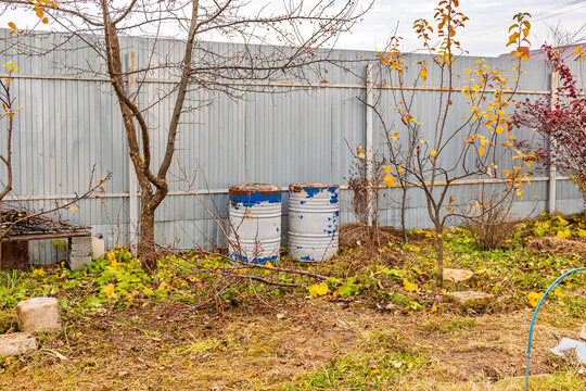 Two weathered metal barrels beside a corrugated fence in an untended backyard. Autumn garden with bare trees and fallen leaves. Household storage and outdoor maintenance