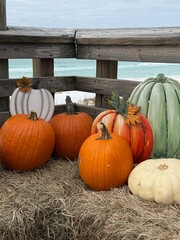 pumpkins and gourds setting on a hay bale with Gulf of Mexico background  © Gerri