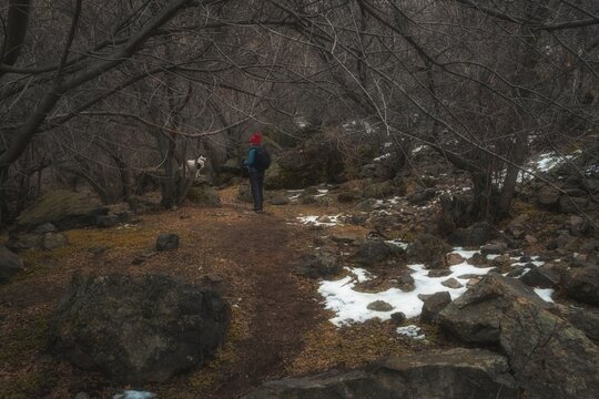 Hiker in a red beanie standing with a dog on a rocky trail in a moody bare forest with patches of winter snow. Lifestyle background for outdoor adventure, hiking, and travel concepts.