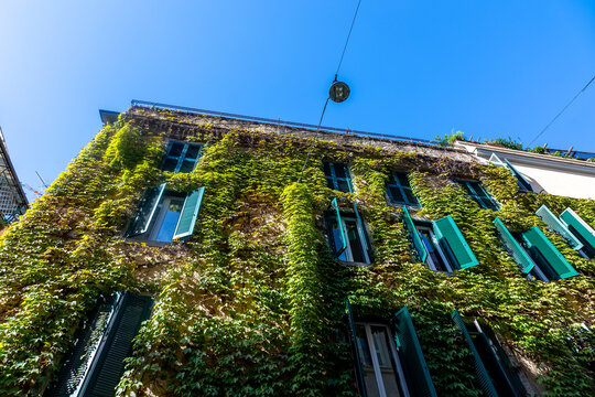 Ivy-covered building facade with green shutters against a clear blue sky in Rome, Italy
