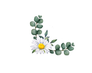 Watercolor chamomile and eucalyptus floral corner composition © al