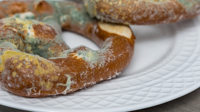 Moldy baked goods with green and white fungal growth arranged on a textured white plate in close up, showing spoiled bakery food and decay
