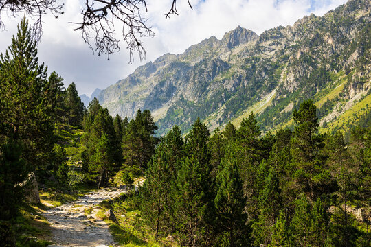 Hiking trail winding through pine forest leading to the Lac de Gaube glacial lake from the Puntas viewpoint, Parc National des Pyr&eacute;n&eacute;es, Cauterets