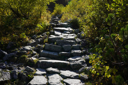 Autumn Trail to Czarny Staw pod Rysami. Tatra Mountains