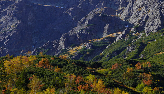 Autumn Landscape of the High Tatras Near the Roztoka Valley