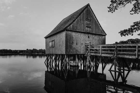 Black and white stilt hut reflected in pond