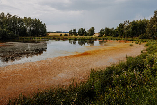 Orange algae shore at Plothener Teiche