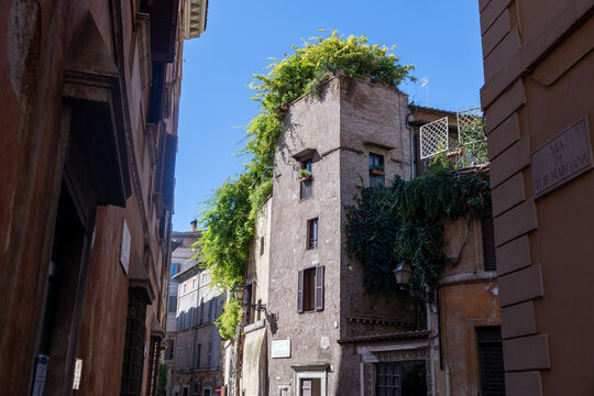 Narrow street with ivy-covered old brick tower house in the historic center of Rome, Italy