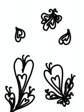 Set of black flower and isolated on white background