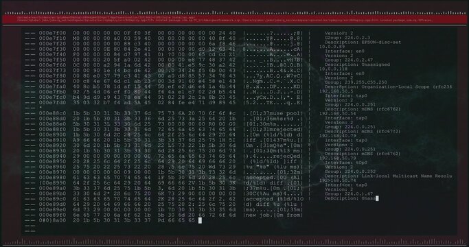 Displaying terminal window showing hex dump and network interface log at workstation, maroon frame