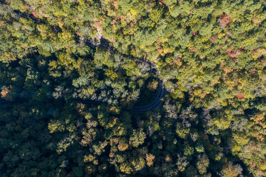 Tail of the Dragon hairpin from above, US 129