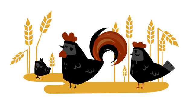 Cute black rooster, hen, chick family in wheat field vector illustration, farm animal cartoon character design isolated on white background. Graphic birds sign set. Hand drawn rustic art. Kids print