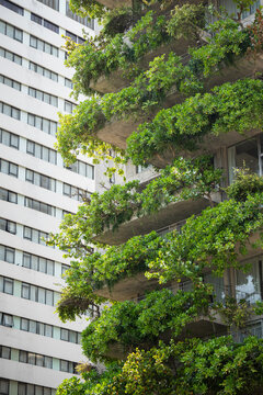 Building with lush green vertical gardens in city, eco-friendly house filled with exotic greenery, apartment building with growing plants cascading from outdoor balconies, sustainable living design.
