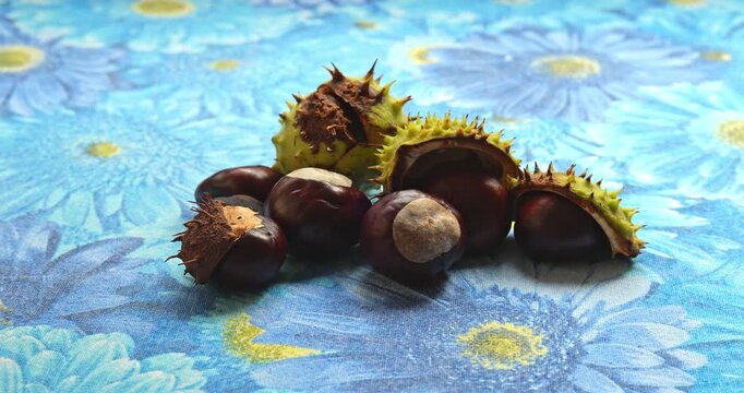Still Life - Fruit Composition with Chestnuts.