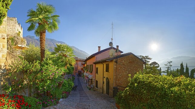 Colourful houses with palm trees in the evening light, Malcesine, Malcesine, Eastern Lake Garda, Verona Italy, Trentino-Alto Adige, Italy