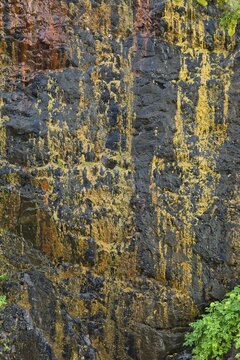 Rock face covered in lichen and moss, &THORN;ingmanna&aacute; river, Flokalundur, Westfjords or West Fjords, Iceland, Europe
