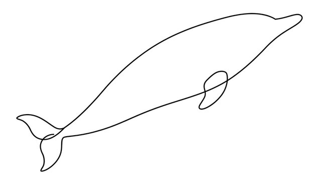 Whale swimming ocean white background.