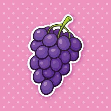 vector illustration of grapes