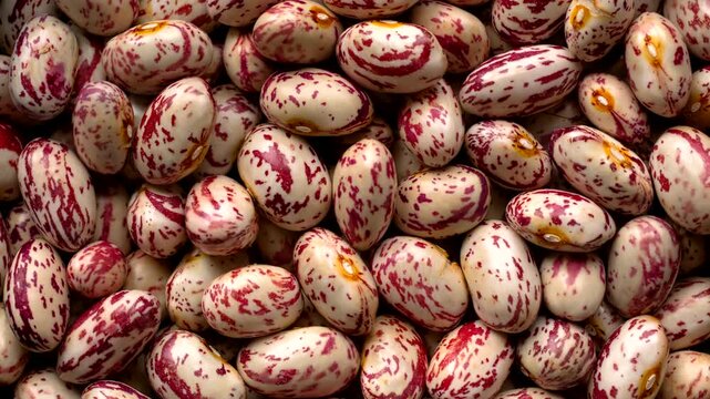 Close-up of fresh-shelled borlotti beans (fagioli sgranati) as a rotating full-frame background texture. 