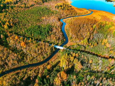Aerial view of road bridge over winding river in autumn forest with tranquil lake beyond