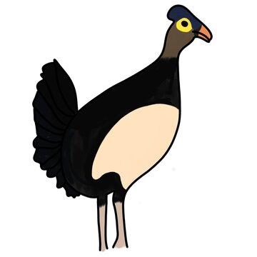Colorful maleo bird illustration standing upright with raised tail feathers, dark plumage and distinctive facial markings, isolated on white background.